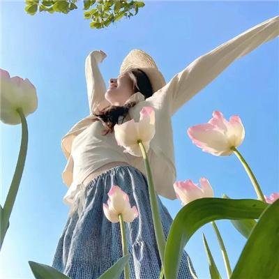 一条狗的回家路